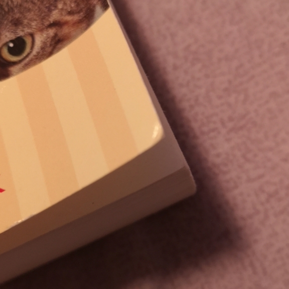 Loving Our Cats Book - Picture 3 of 3